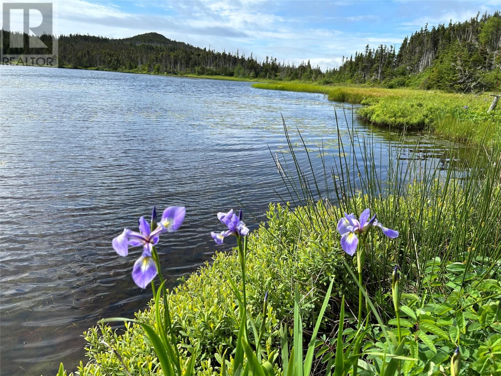 Property Photo:  0 Farm Pond Road  NL A0C 0B0 