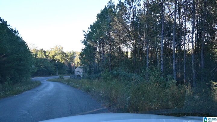Property Photo:  0 Willowbrook Court Lot 21  AL 35049 