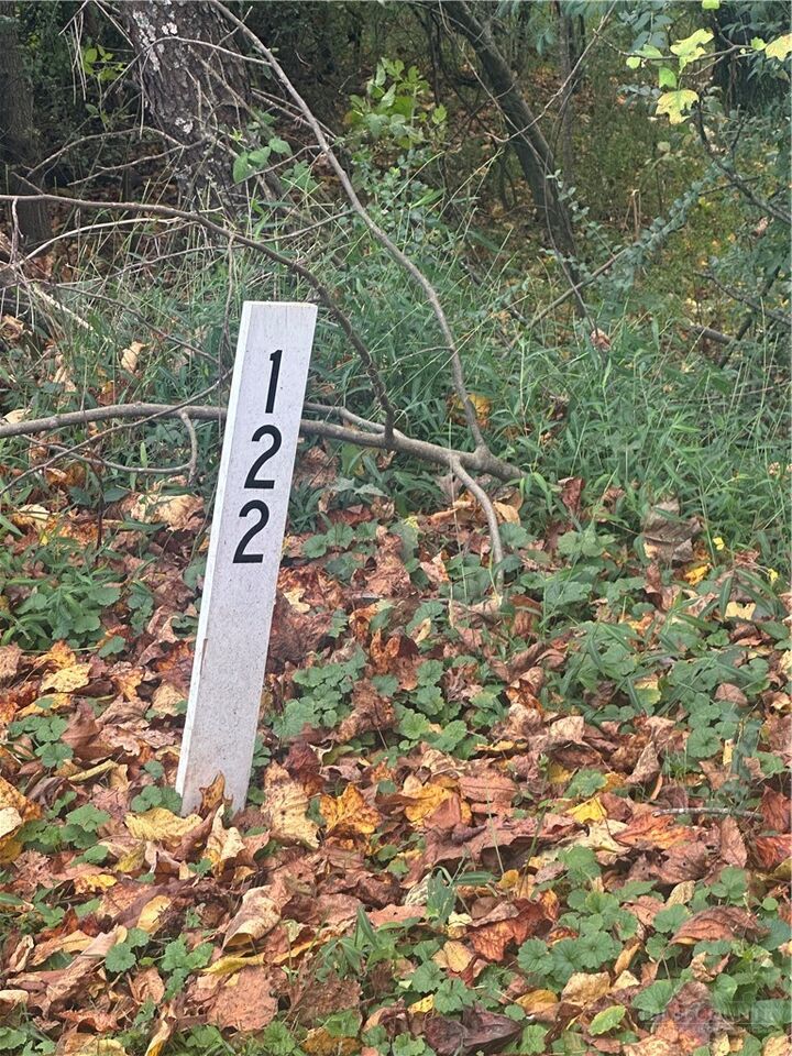 Property Photo: Lot 122 Friar Court NC 28659