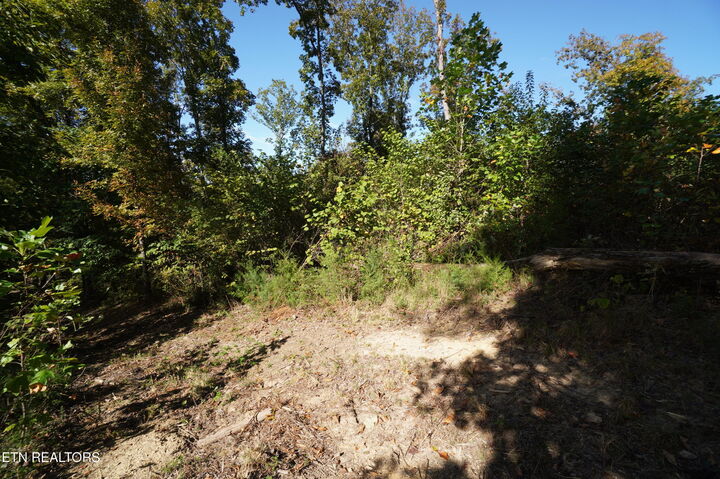 Property Photo: Brotherton Rd TN 37760