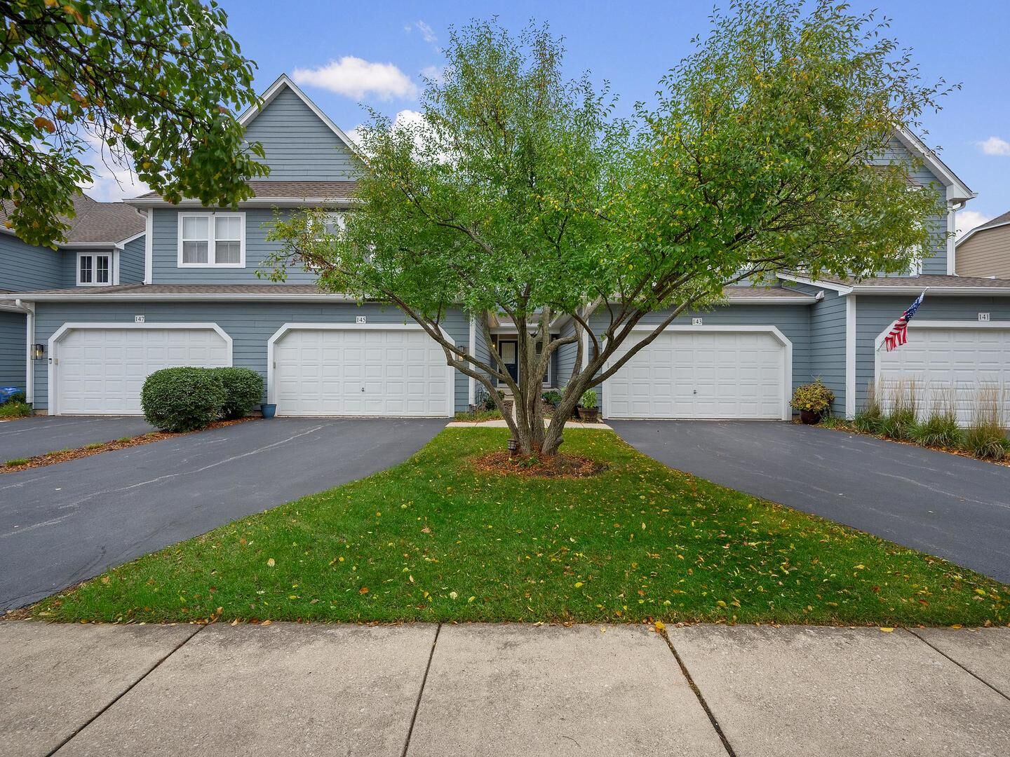 Property Photo:  145 Tanglewood Drive  IL 60137 