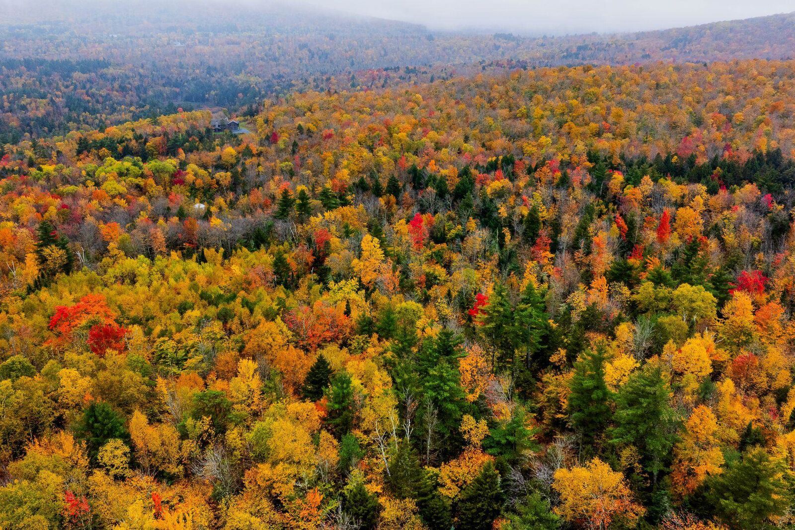 Property Photo:  Lot 64 Piermont Heights Road  NH 03777 