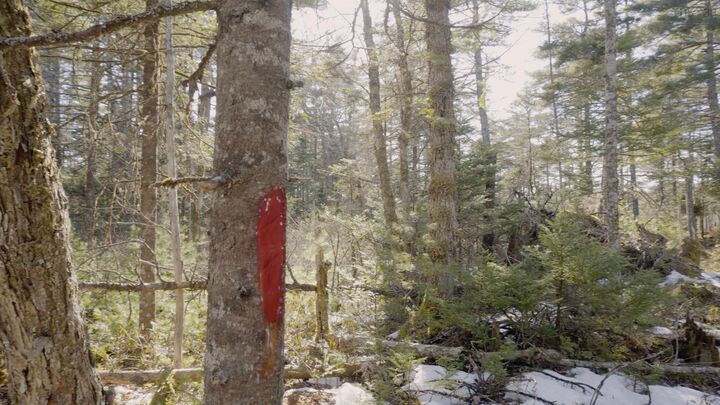 Property Photo:  Lot 11 Maple Drive Drive  NS B0T 1W0 