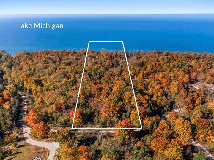 Property Photo:  V/L Lake Bluff Drive  MI 49613 