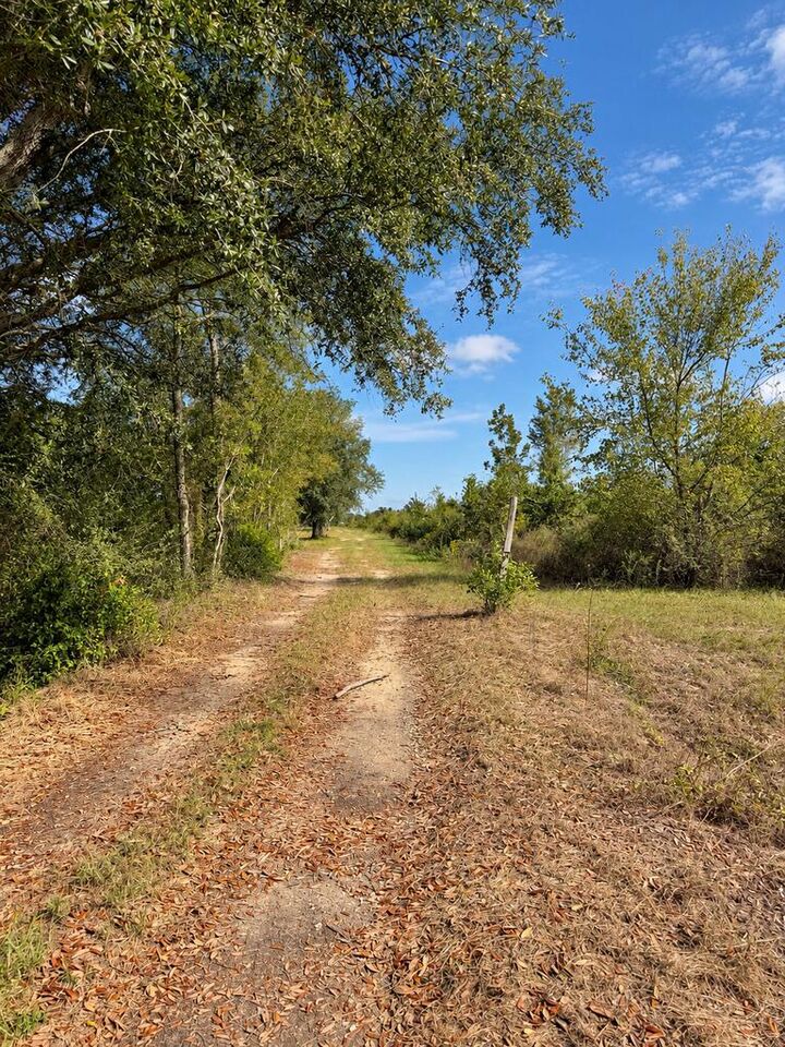 Property Photo:  907 Marianna Highway  GA 39845 