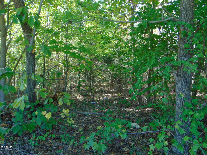 Property Photo: Lot 11 Bill Smith Rd NC 27315