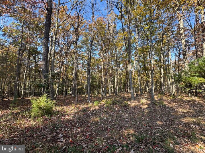 Property Photo: Blossom Road WV 26757