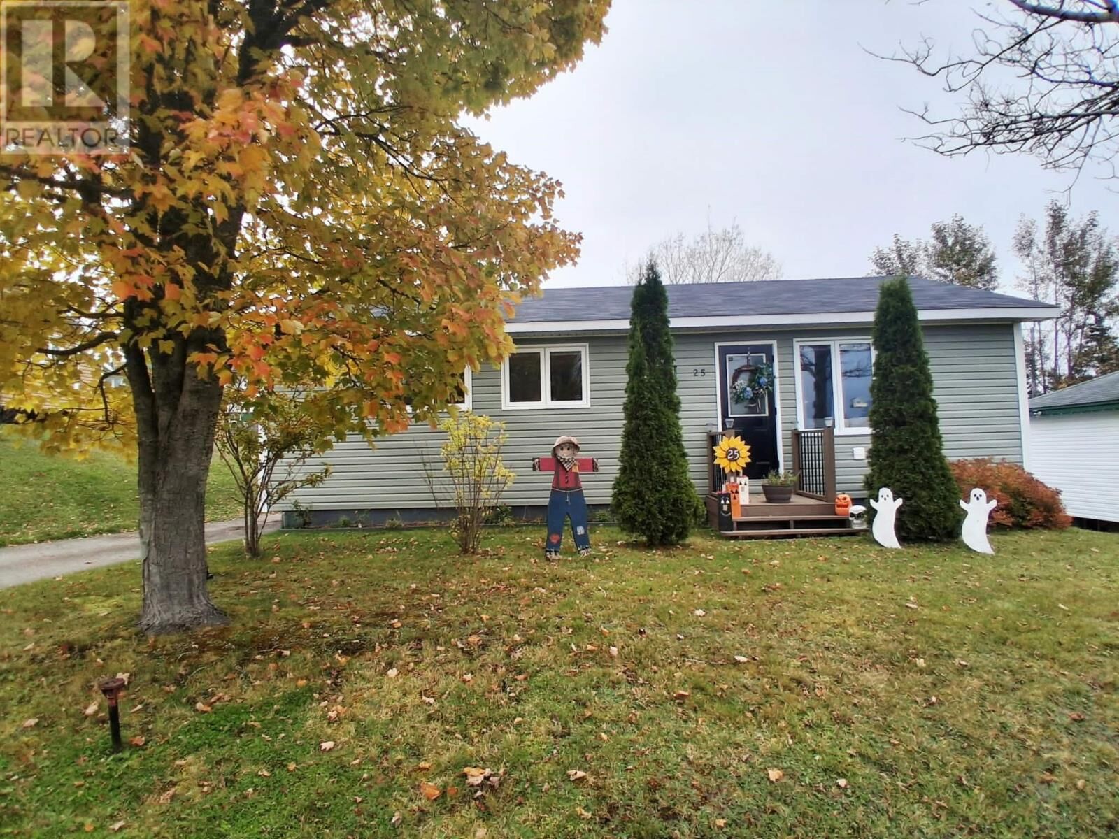Property Photo:  25 Forest Road  NL A0E 2M0 