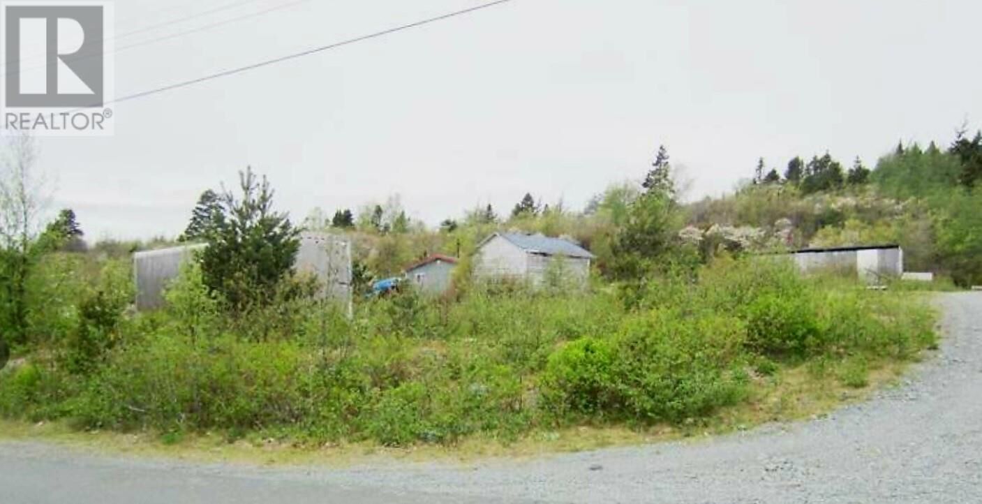 Property Photo:  11 Snows  NL A0A 1G0 