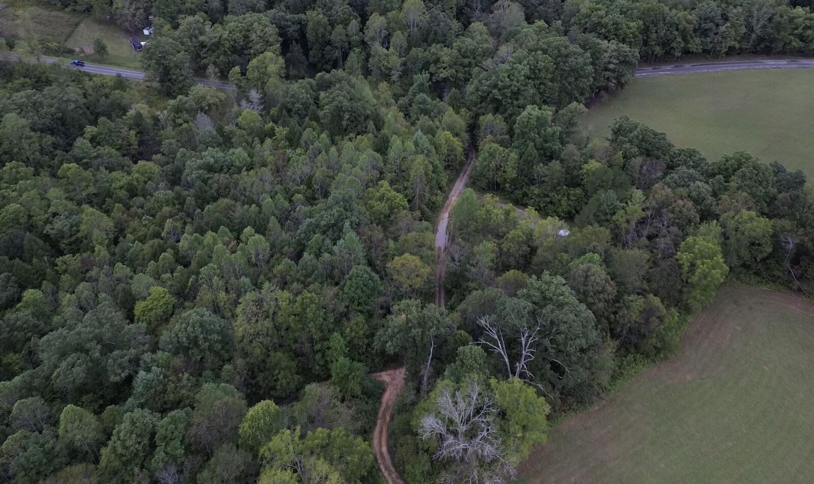 Property Photo:  0 Mount Helen Road  TN 38556 