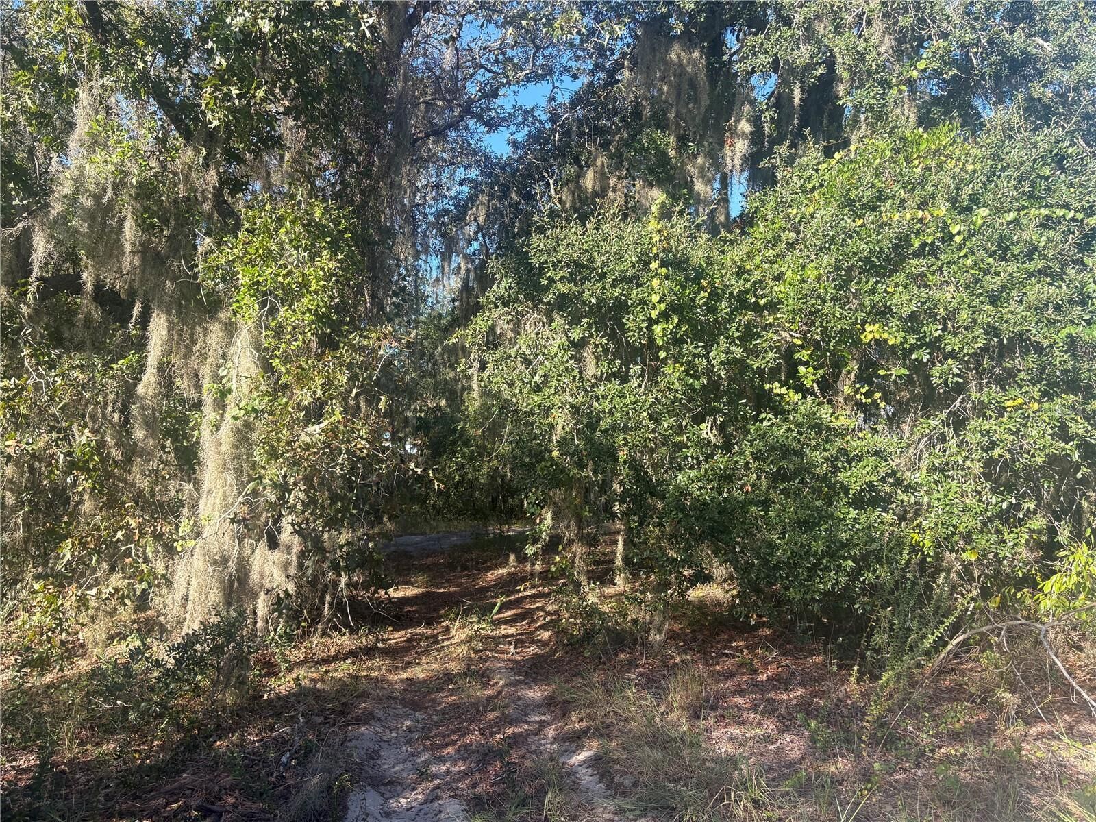 Property Photo:  0 Jenny Drive  FL 33898 