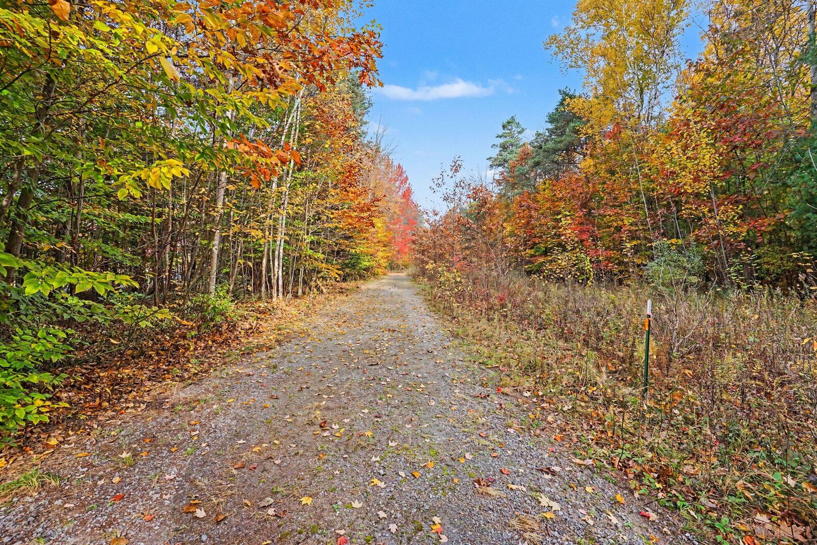Property Photo: Lot H Long Leaf Lane MI 49456
