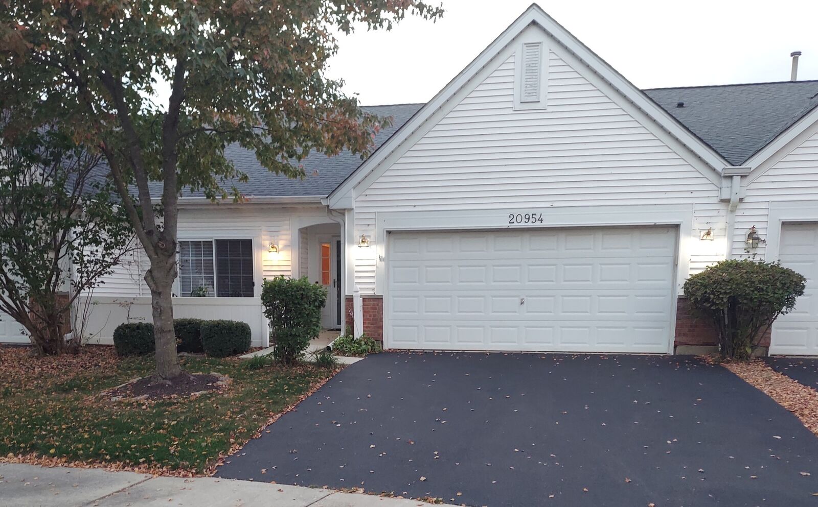 Property Photo: 20954 W Blossom Lane IL 60544