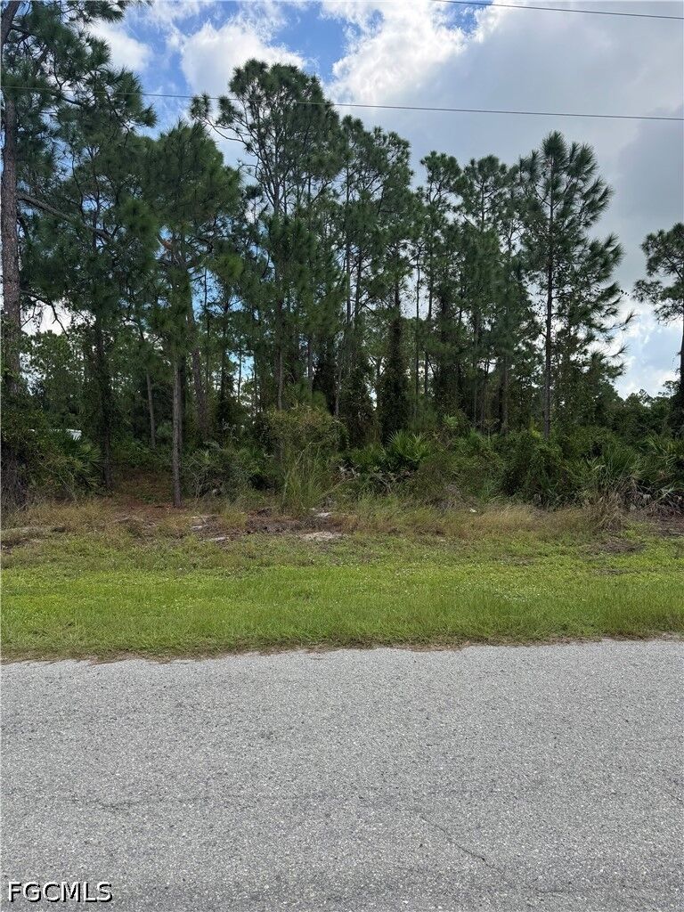 Property Photo:  853 Troy Avenue S  FL 33974 