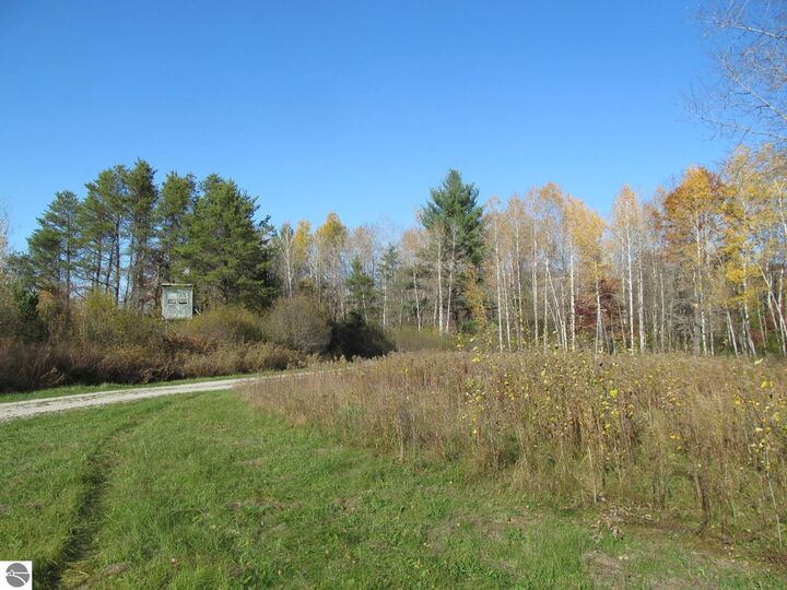 Property Photo: 10189 W Forest Road MI 49665