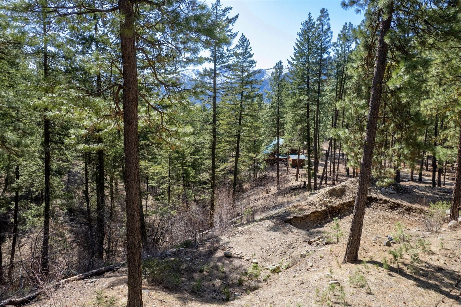 Property Photo: 94 Homestead Road WA 98862