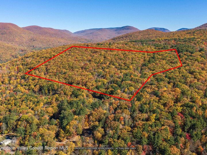 Property Photo:  0 Carle  NY 12457 
