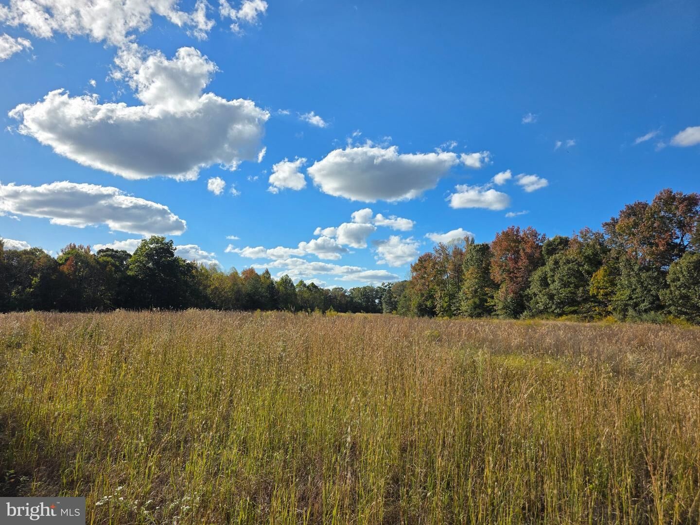 Property Photo:  Spindles Mill Pond Road  VA 22476 