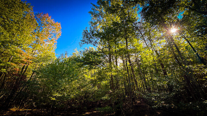Property Photo:  3199 Young Road  TN 37379 