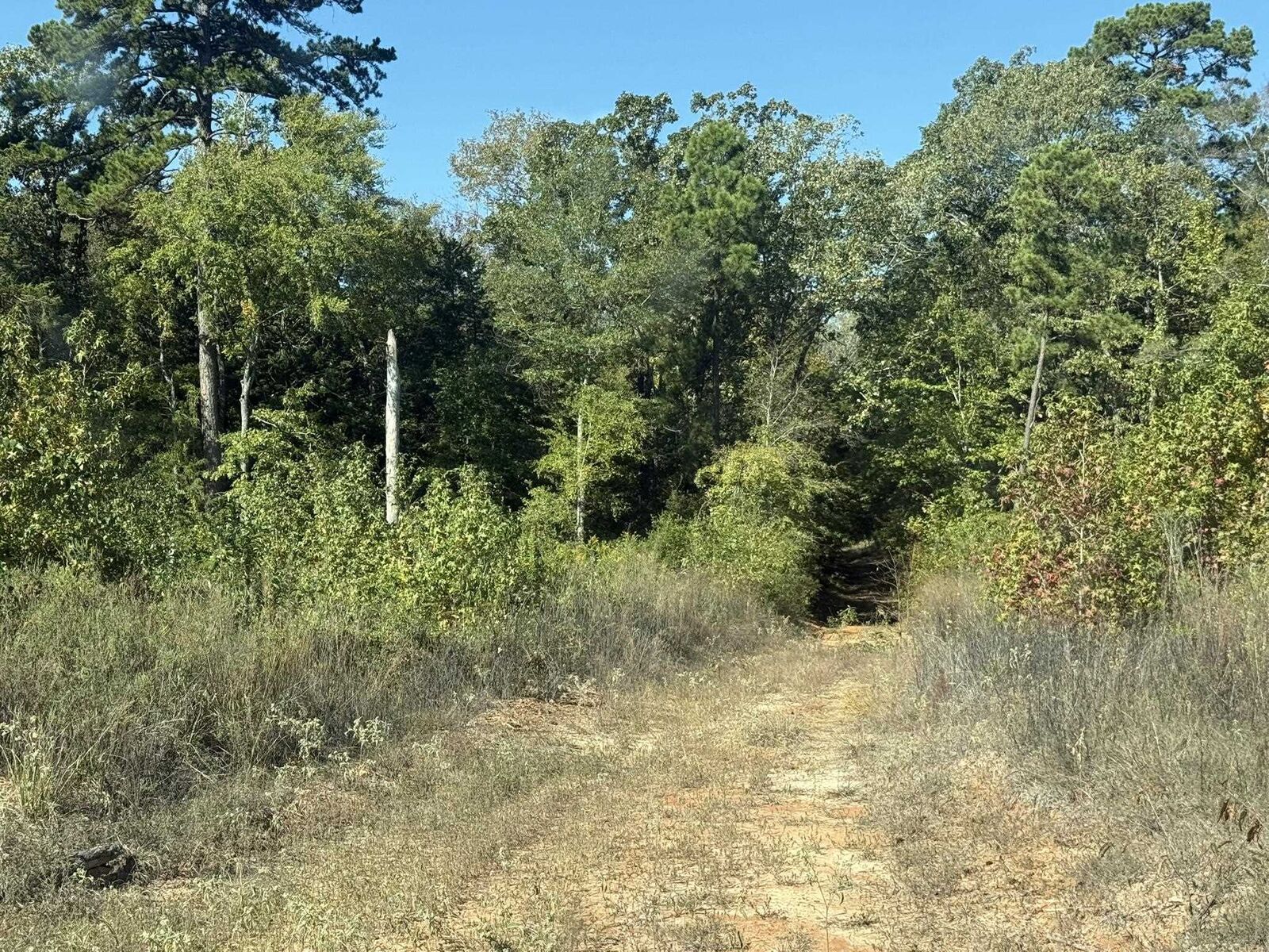 Property Photo: Tbd Highway 155 TX 75668