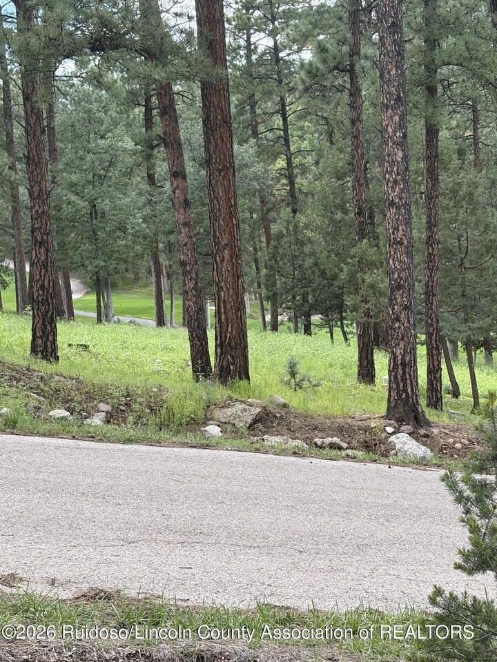 Property Photo:  Lot 2 Incredible Lane  NM 88312 