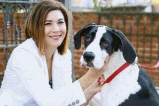 Lisa Fanucci-Dario, Real Estate Salesperson in Fredericksburg, Elite