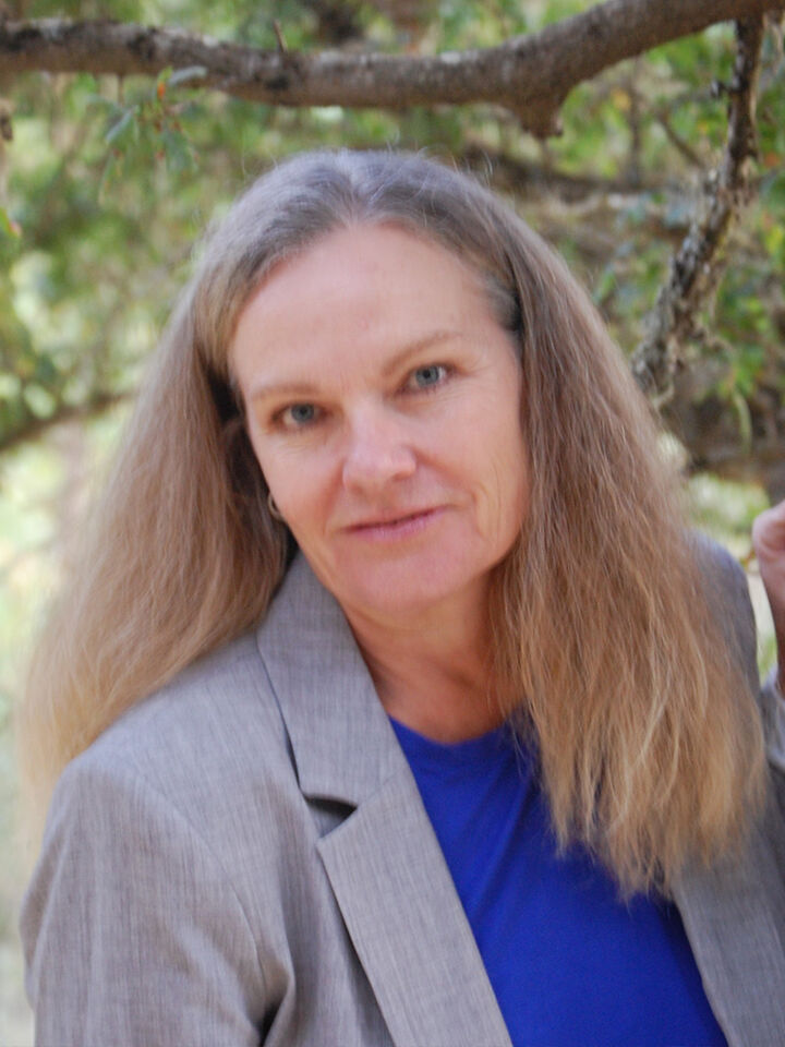 Louise Rex Santa Rosa W Real Estate WRE site