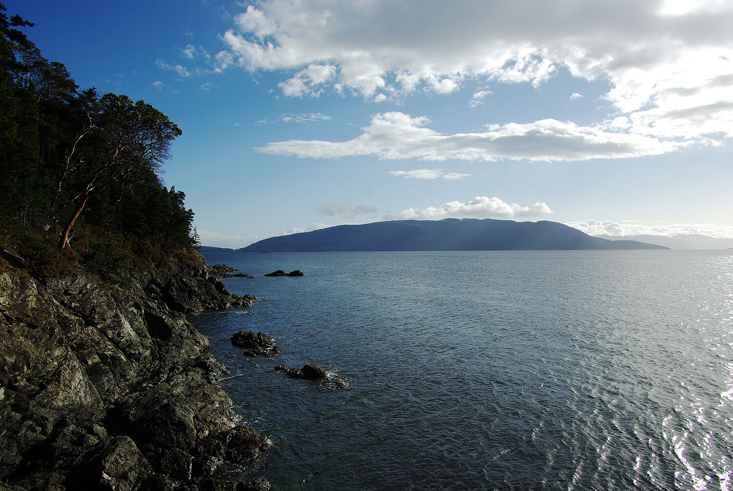 Property Photo:  96 Spotted Deer Lane  WA 98279 