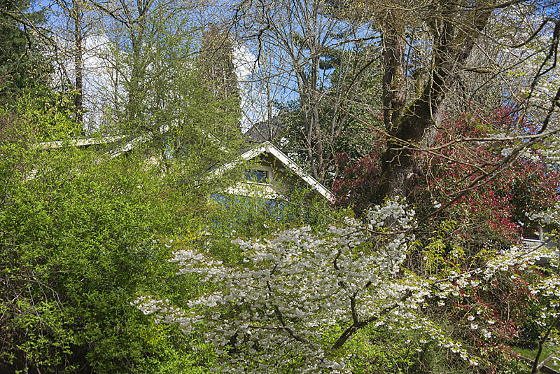 Property Photo: Exterior of house 1731 Lake Washington Blvd S  WA 98144 