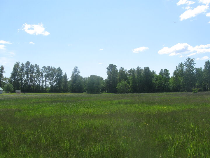 Property Photo: Flat mid county 5 acres on a non thru street 5800 Murray WA 98226