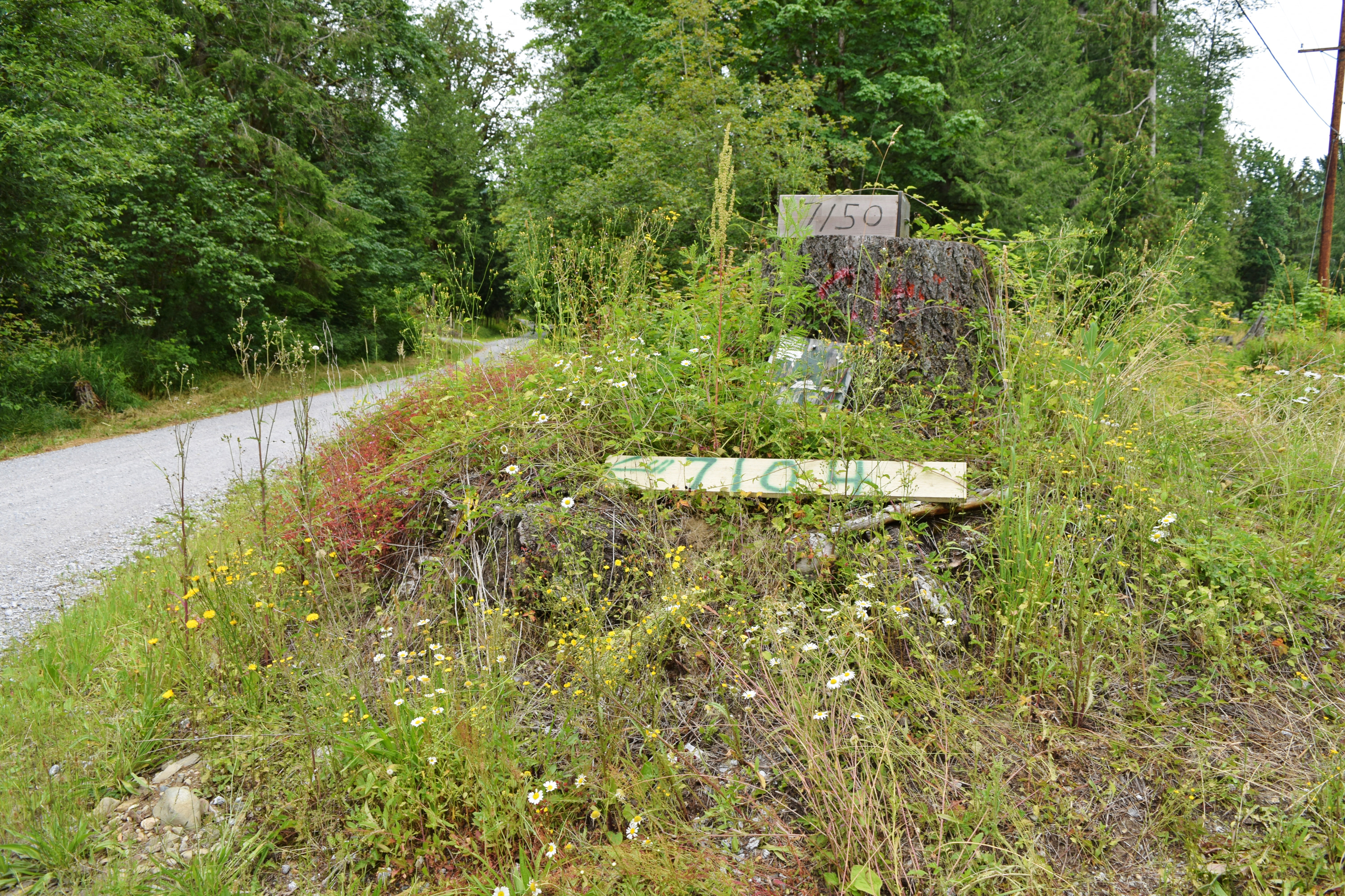 Property Photo: Find the Property! 7104 Mt Baker Hwy WA 98266