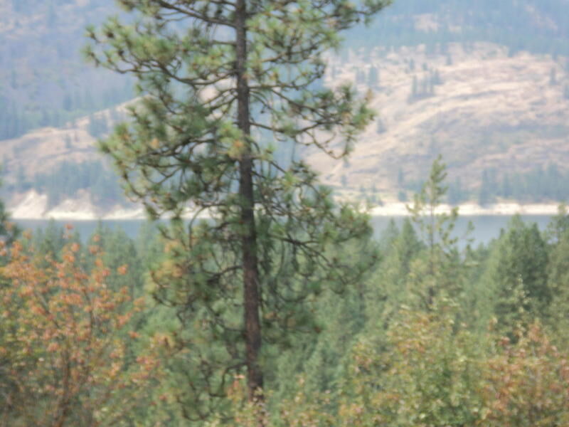 Property Photo: Lot 3 Hwy 25 S WA 99141