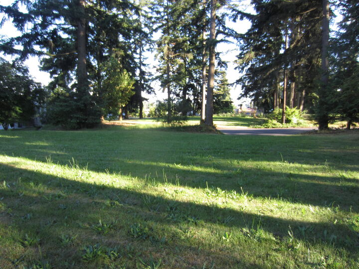 Property Photo: Multi residential building lot 6321 194th St SW  WA 98036 
