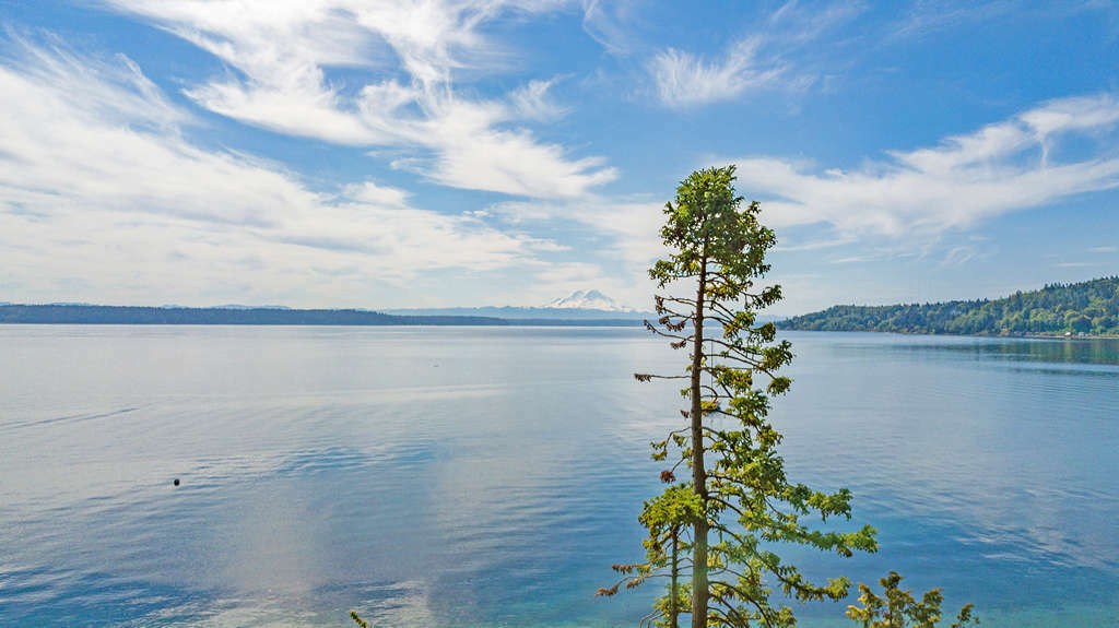 Property Photo:  11814 Dolphin Point Trail SW  WA 98070 