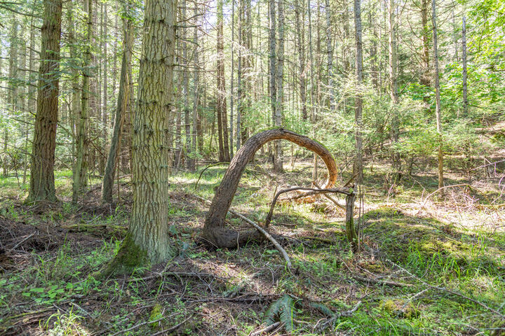 0 Thatcher Pass Rd  Decatur Island WA 98221 photo