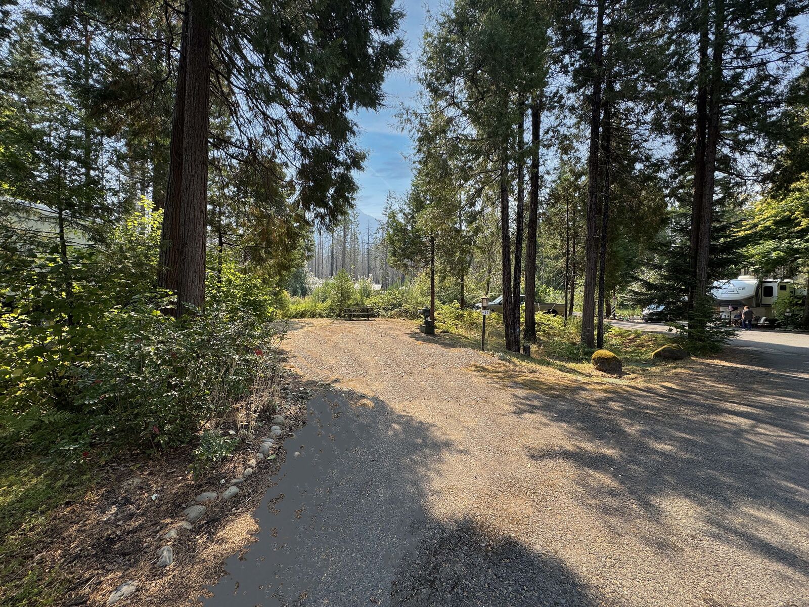 Property Photo: 54432 McKenzie Hwy 17 OR 97413