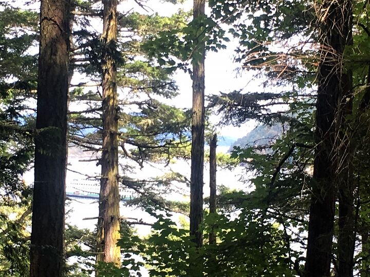 1954 Thatcher Pass Rd  Decatur Island WA 98221 photo