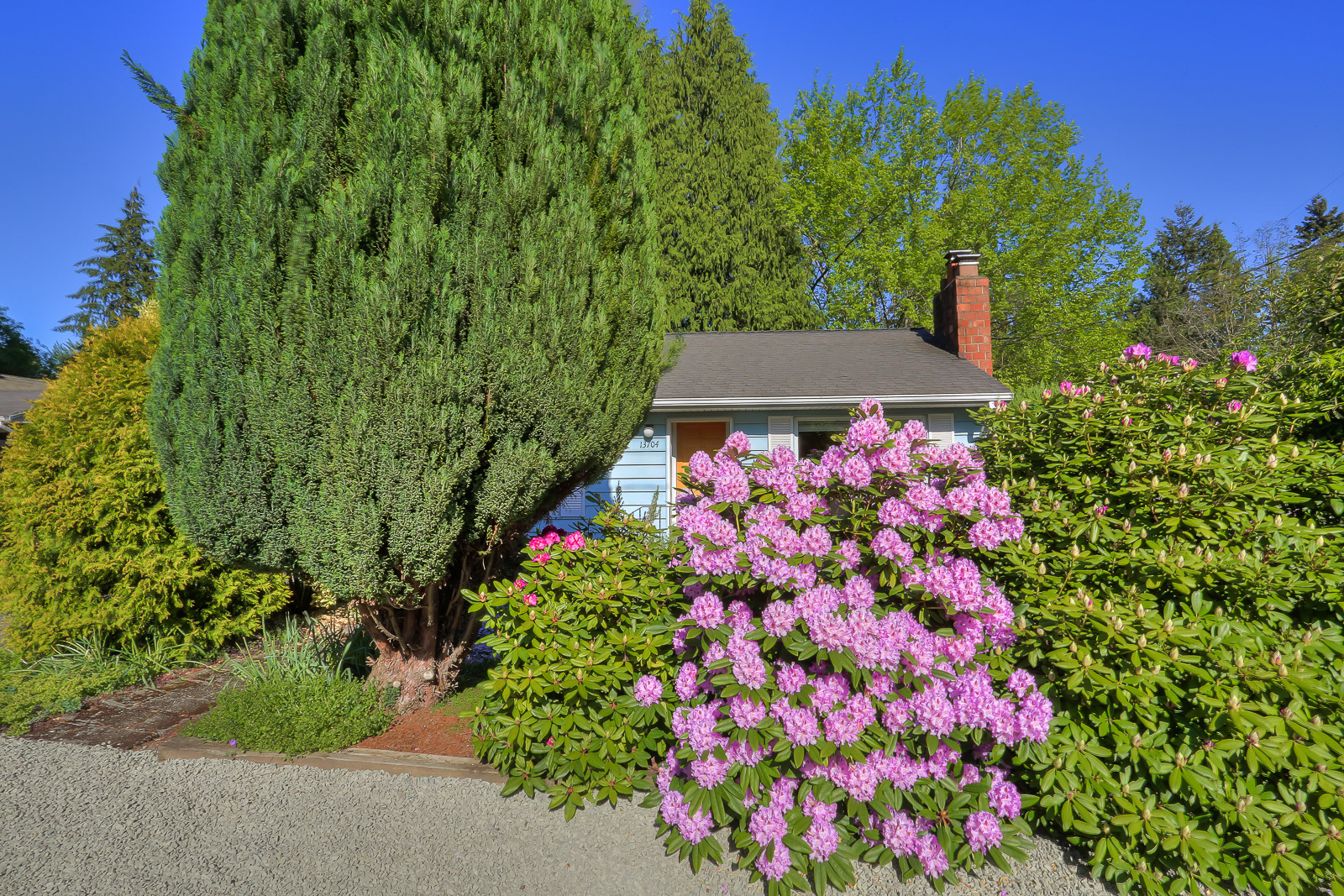 Property Photo: Olympic Hills Cape Cod 13704 27th Ave NE  WA 98125 