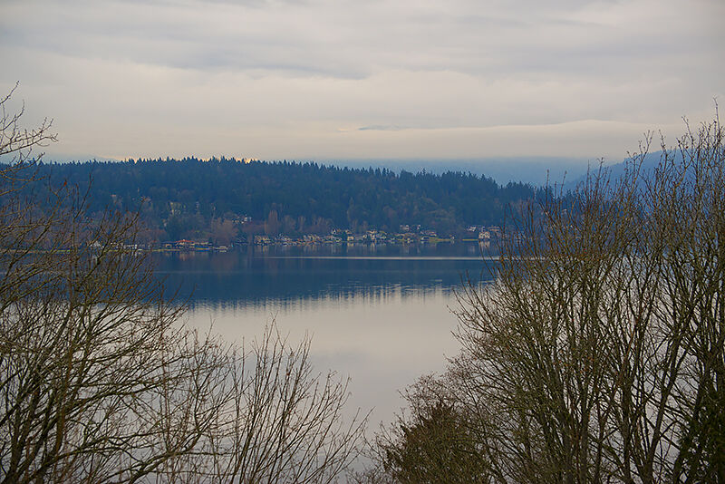 Property Photo: 1316 187th Ave NE WA 98008