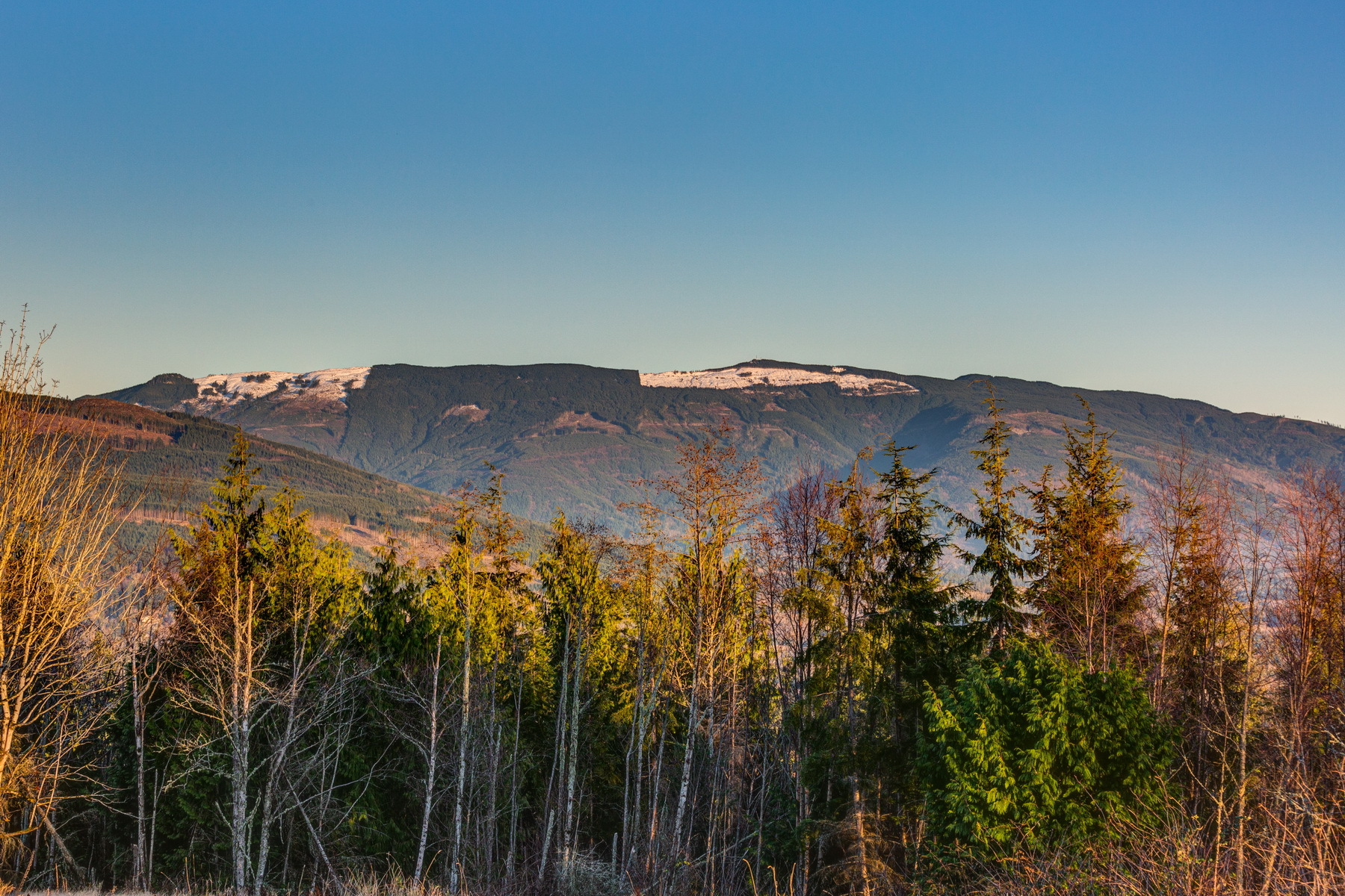 Property Photo:  3310 Blanchard Knob Trail  WA 98232 